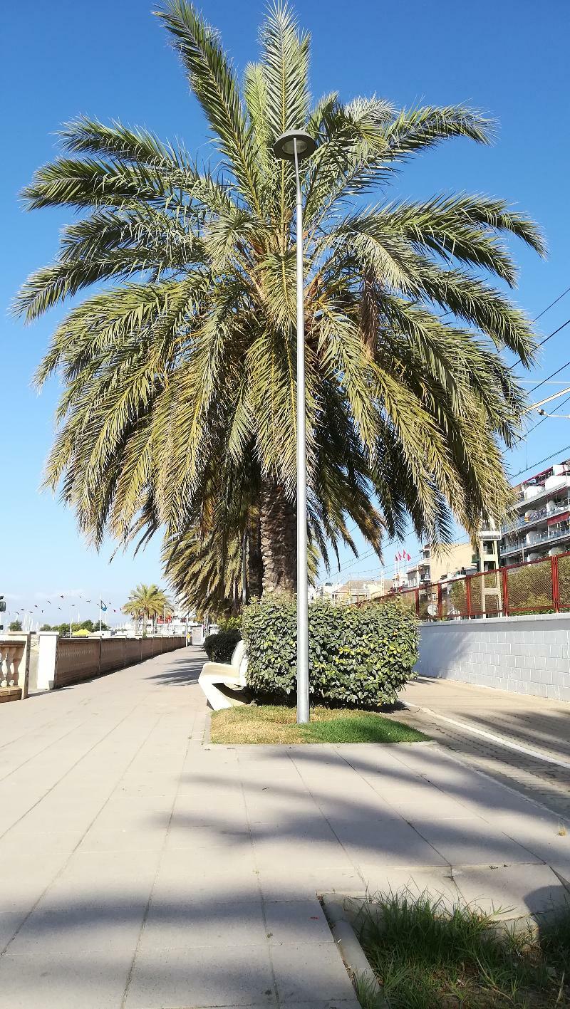 Apartment Terrassa De Mar